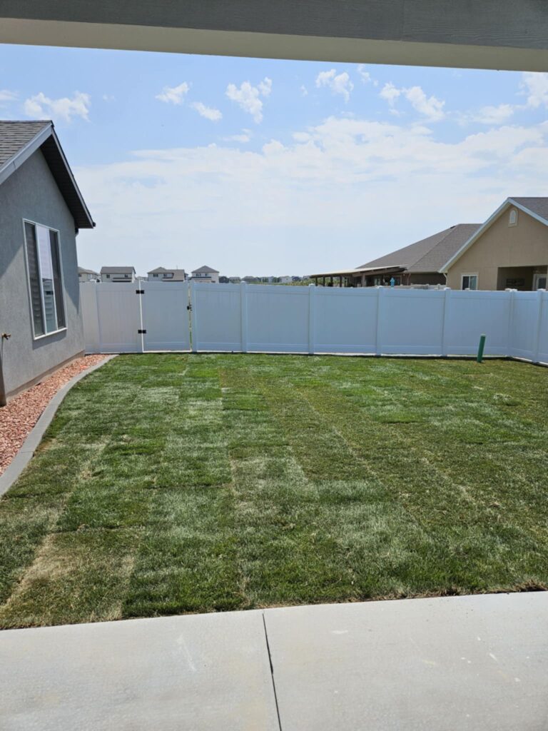 Back yard of house with fresh sod, curbing, and orange rock