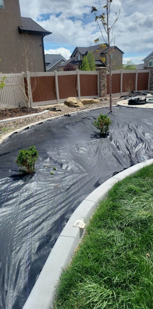 Yard sectioned by curbing with grass on one side, black tarping with small bushes poking through, and rocks on the opposite side.