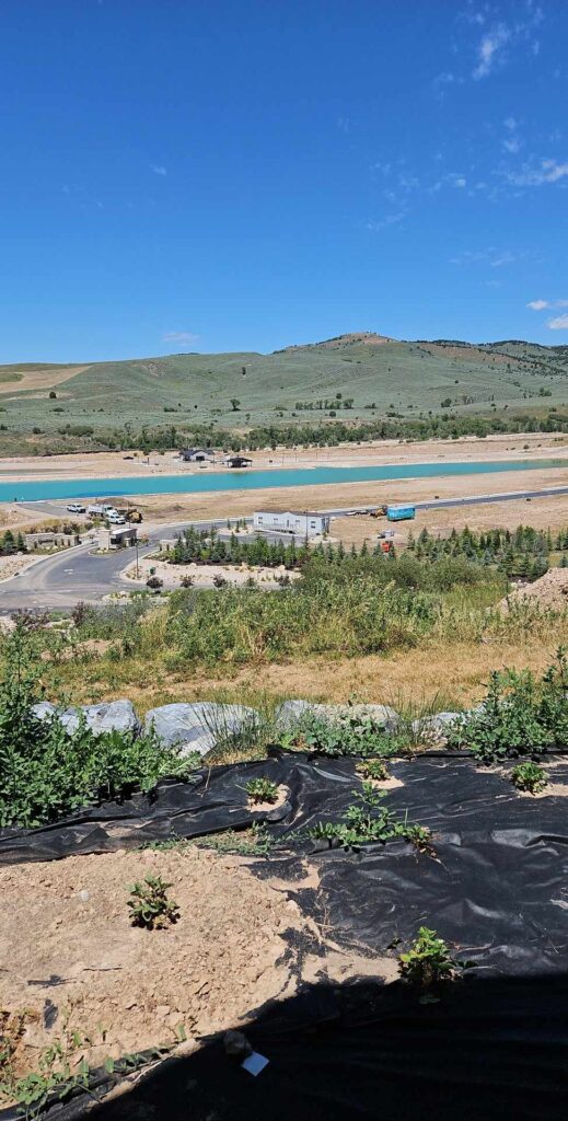 A large field with dirt, black tarp, and small green bushes overlooking a curved road, body of water, and a small hill in the distance