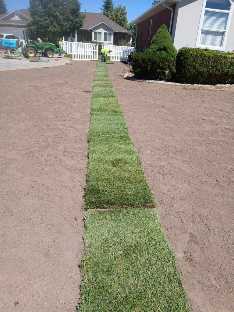 Long line of sod running through a flat field of dirt, a tractor and worker in distance