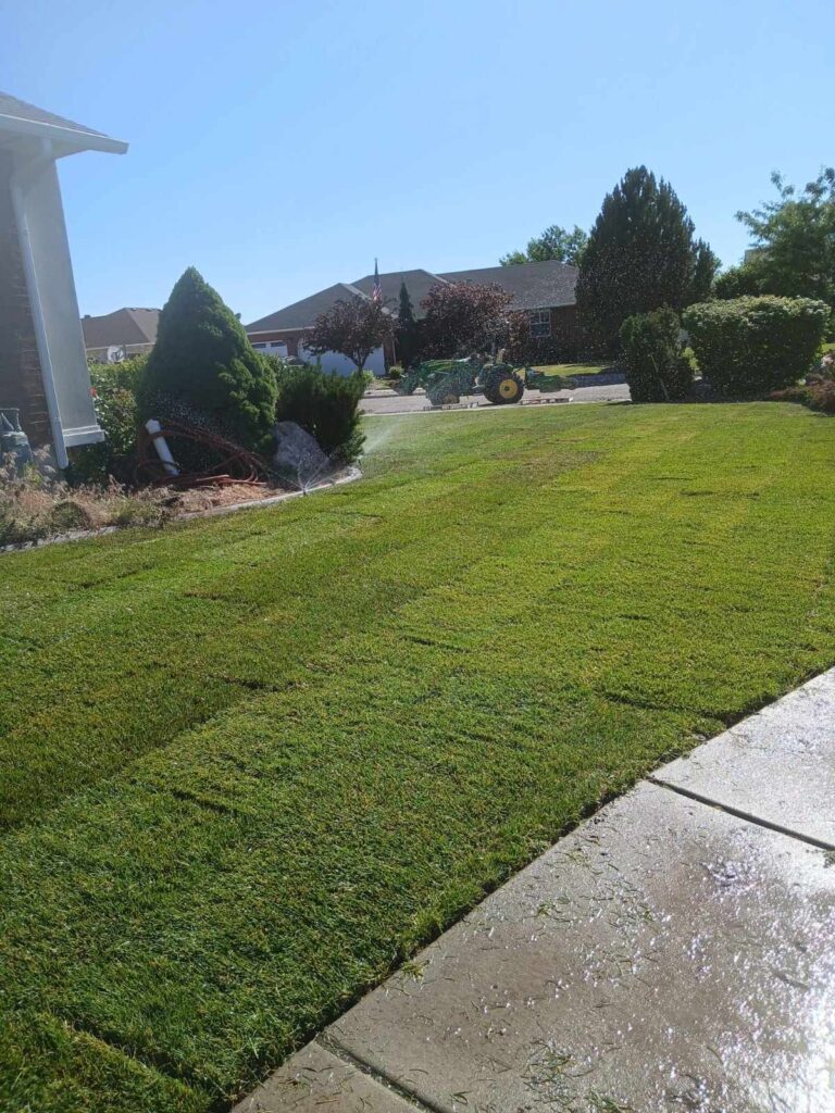 Freshly laid sod, large bushes, and green tractor in the distance