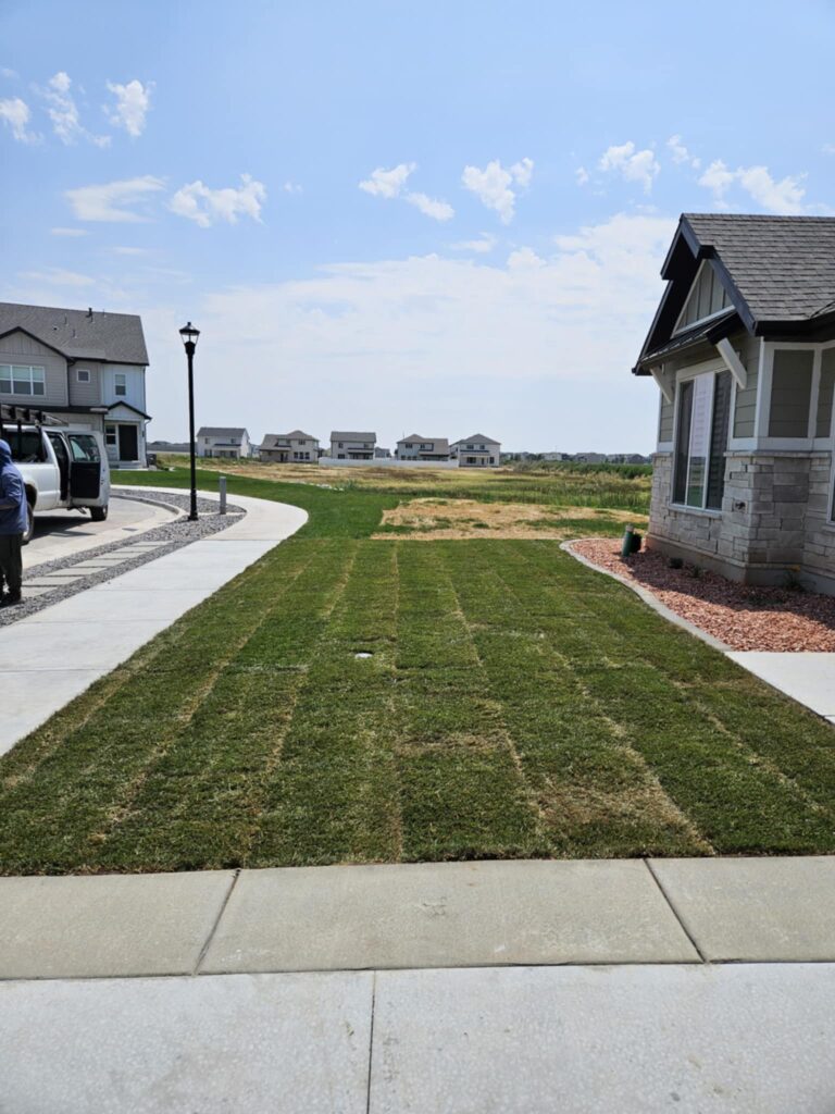 Freshly laid sod in a yard with houses in the distance